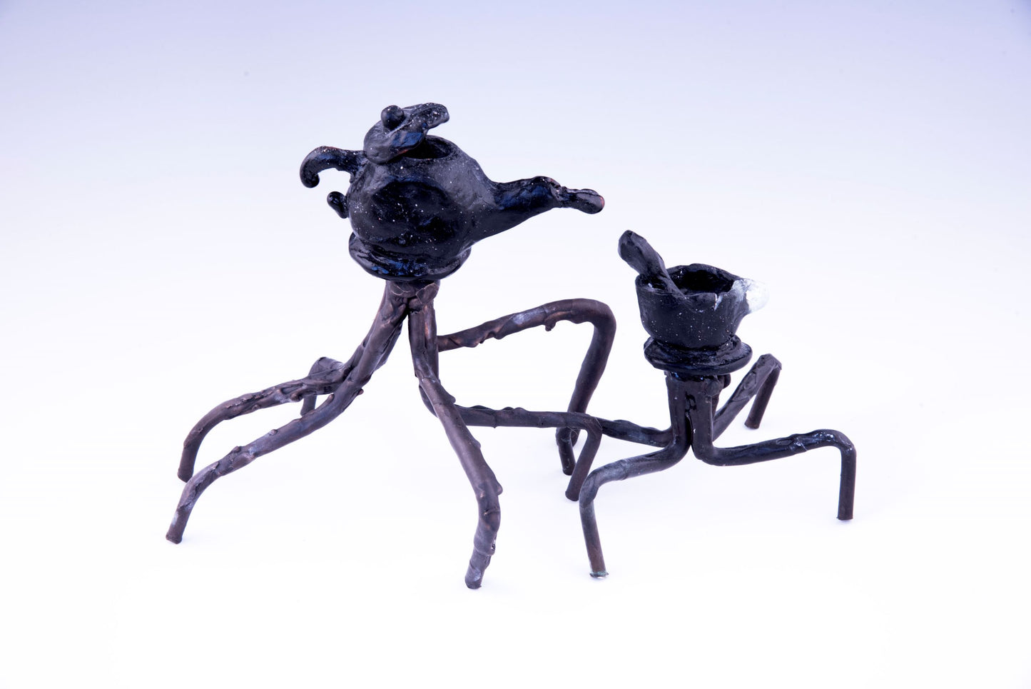 Tea Spiders